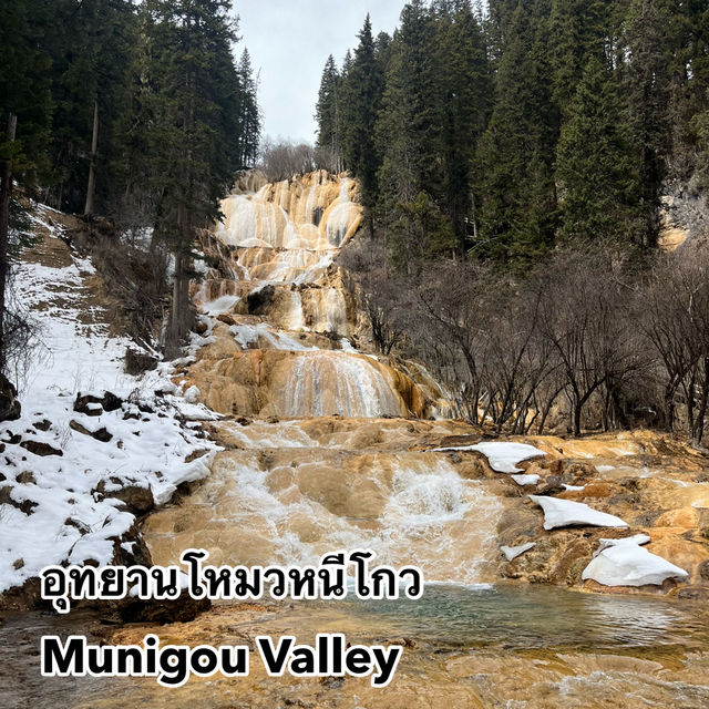 อุทยานโหมวหนีโกว (Munigou Valley) ประเทศจีน🇨🇳