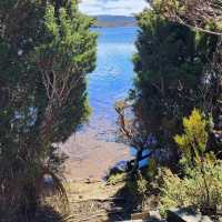 Stars: Cradle Mountain's Majestic Splendor!