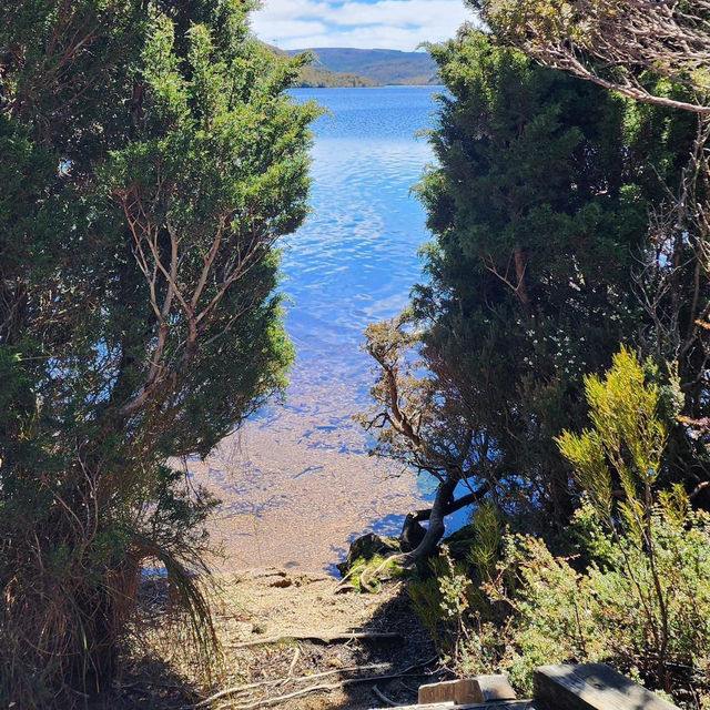 Stars: Cradle Mountain's Majestic Splendor!