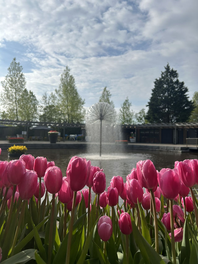 Step into a fairytale of blooms at Keukenhof next year spring.