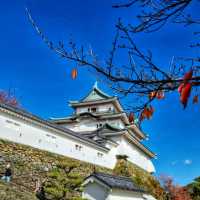 wakayama castle