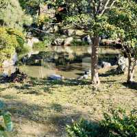 Discover Serenity at Kennin-ji Temple, Kyoto