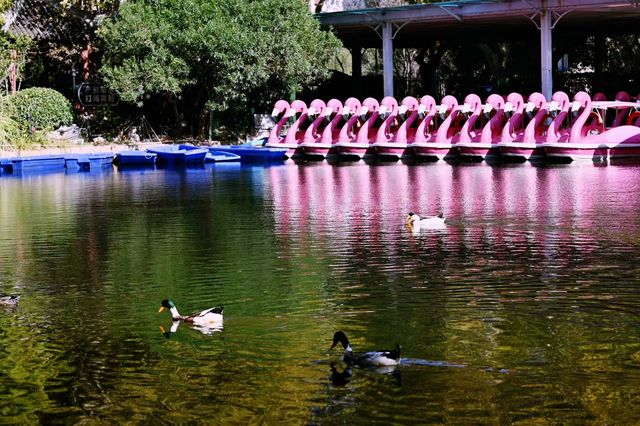 魯迅公園