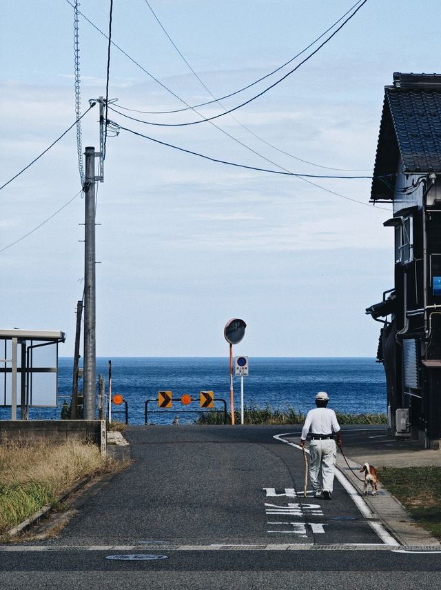 日本京都海邊漫步。