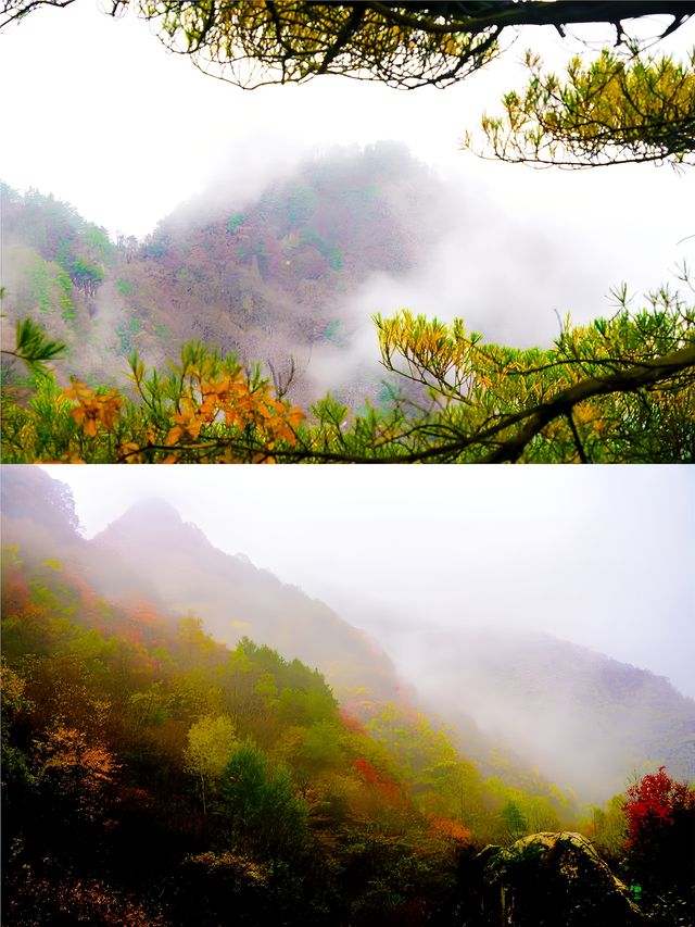 西安‖藍田雲台山紅葉正當時。