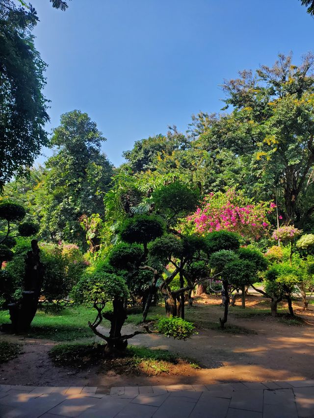 曼聽公園 | 西雙版納的夢幻之境遊玩全攻略。