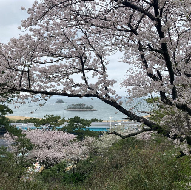 城市中的靜謐綠洲