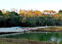 絢爛的畫卷~~海灣國家森林公園