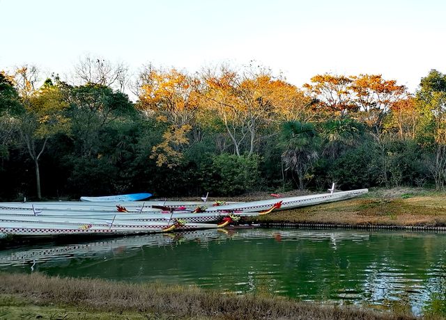 絢爛的畫卷~~海灣國家森林公園