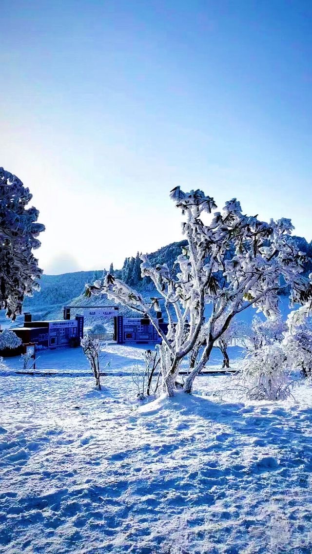 冬天不一定要去哈爾濱 重慶也有自己的雪山