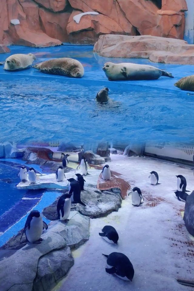 上海海洋水族館攻略