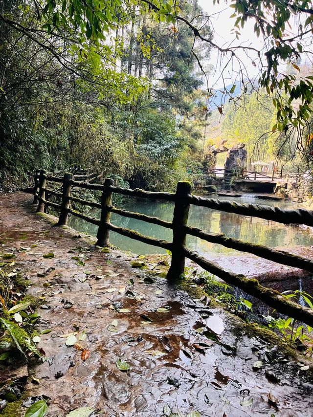 南寶山旅遊度假區｜探索自然秘境，享受寧靜時光