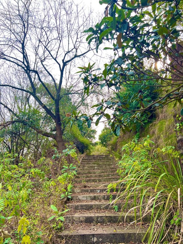 成都小眾親子徒步路線推薦