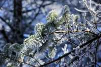 【雪域峨眉】冬季峨眉山，探秘冰雪世界的佛教聖地