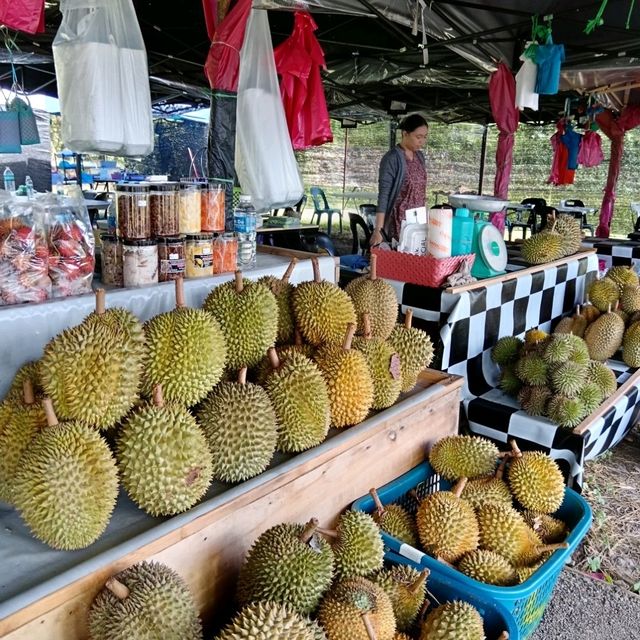 Explore Nabalu, The Perfect Pitstop to Kundasang's Highlands