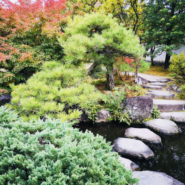 Nature’s Palette: Autumn Bliss at Kokoen Garden, Himeji!