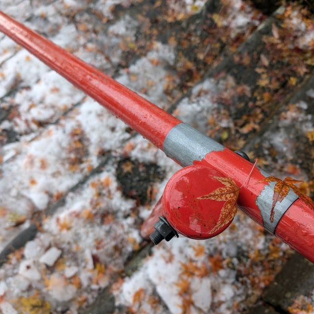 🇯🇵青森「中野紅葉山」有著東北小嵐山美譽的賞楓🍁勝地