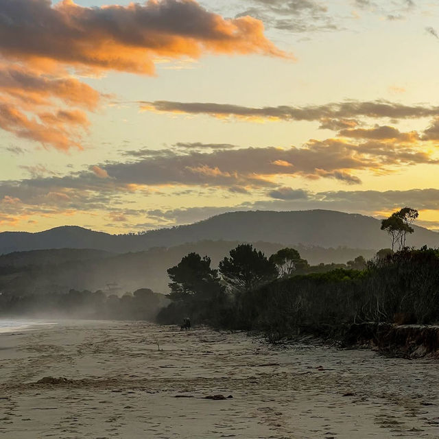 Bruny Island: Tasmania’s Coastal Paradise