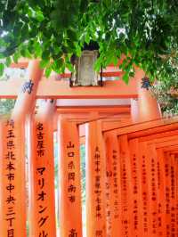 A Rainy Spring Stroll Through Fushimi Inari Taisha