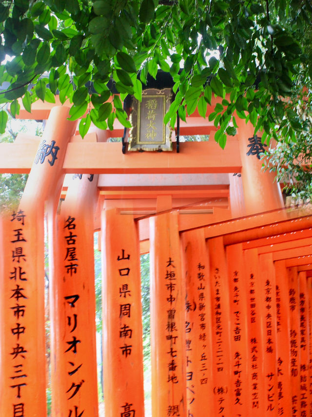 A Rainy Spring Stroll Through Fushimi Inari Taisha