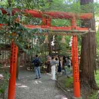  京都嵐山：自然與文化的完美交融🍂🏞️