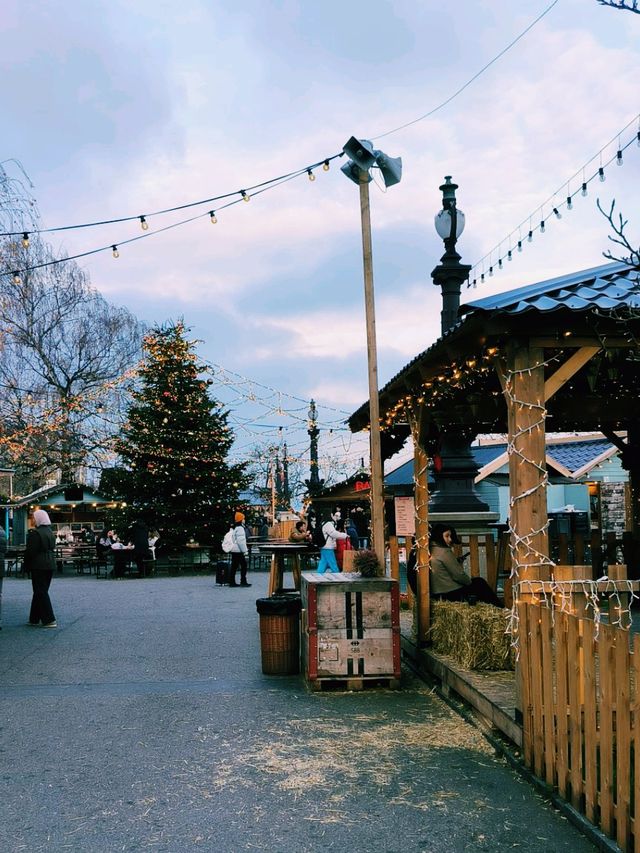 Christmas trees around Europe 🎄