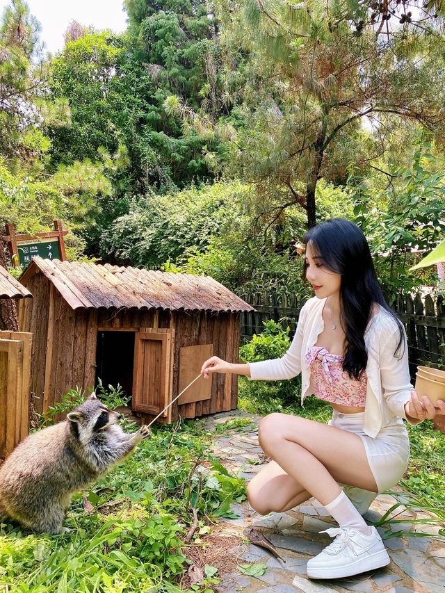 雲南野生動物園一日遊