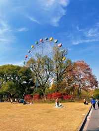 地鐵直達，踏青、露營、看動物，上海遛娃必逛~