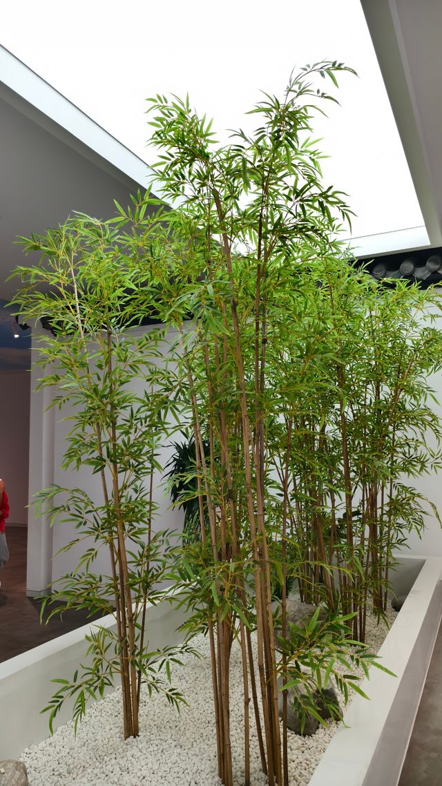 太倉家風館：傳承的殿堂，心靈的歸處。