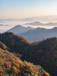 秦嶺山脈奔赴雲海日出 駕車直達太子嶺。