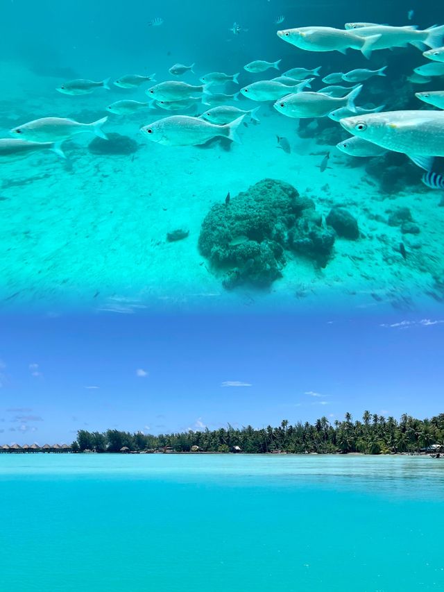 大溪地旅遊攻略來啦！帶你解鎖夢幻海島度假模式。