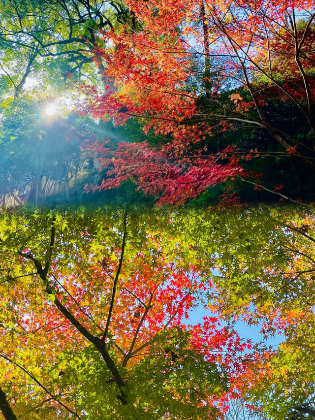 永福寺。