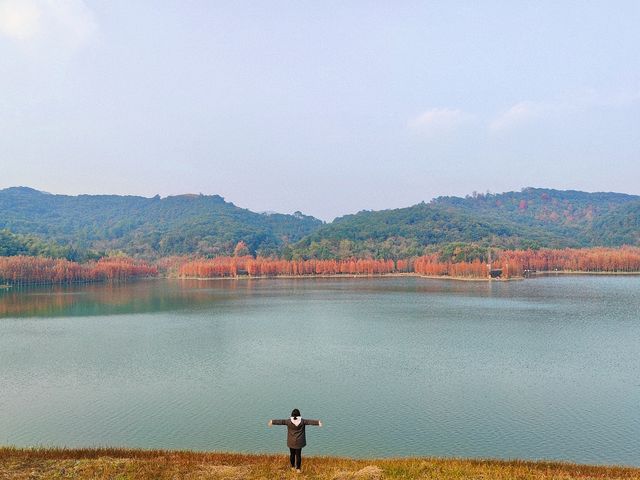 2024年的最後一次徒步 - 梅坞古道 & 考古遺址公園