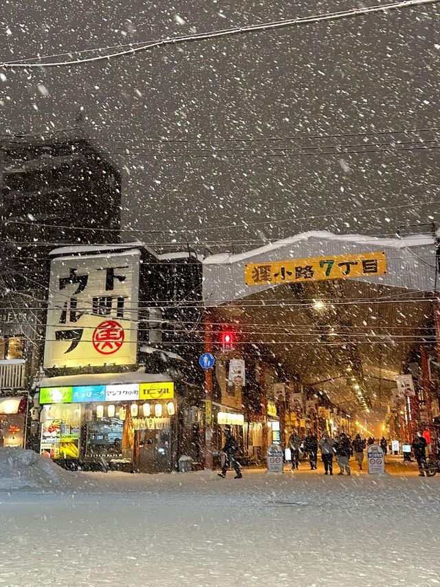 北海道旅居三年後的冬季出遊攻略🌨️