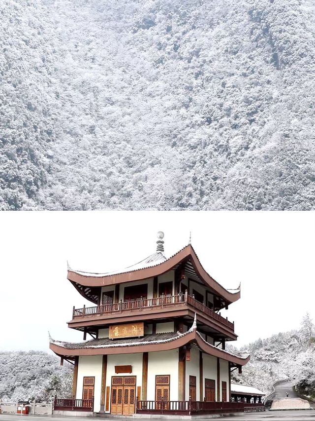 新年！！總要約着好朋友去看一場雪吧