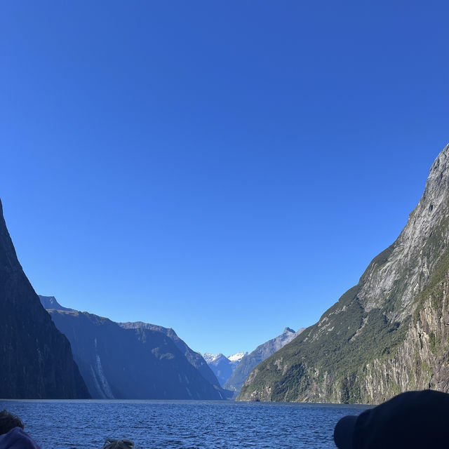 Bucket list experience done✅ Milford sound!!