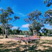 The Mount Pleasant Lookout