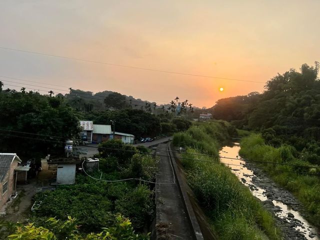 阿里山林鐵小火車 嘉義旅遊 阿里山交通