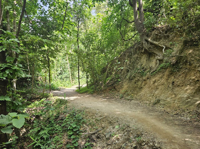 Doi Suthep Hiking Trail (Wat Pha Lat) 