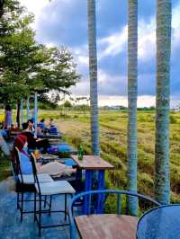 MUST VISIT CAFE AMIDST PADDY FIELD IN HOI AN