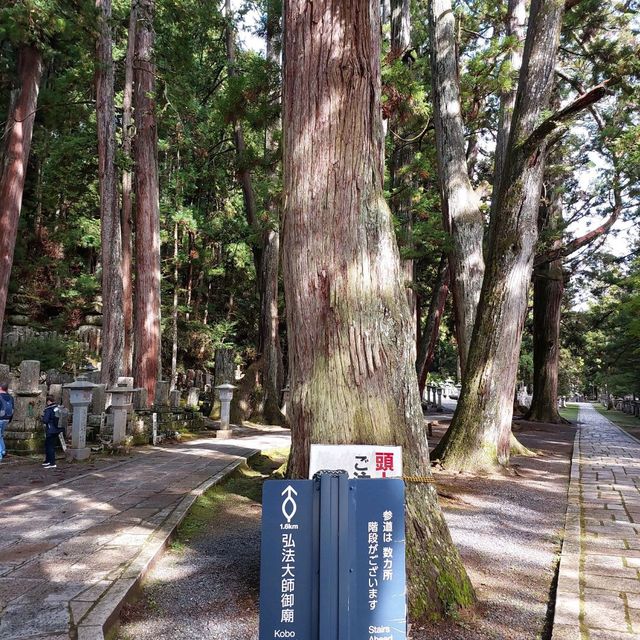 Koyasan Spiritual Heart of Japan