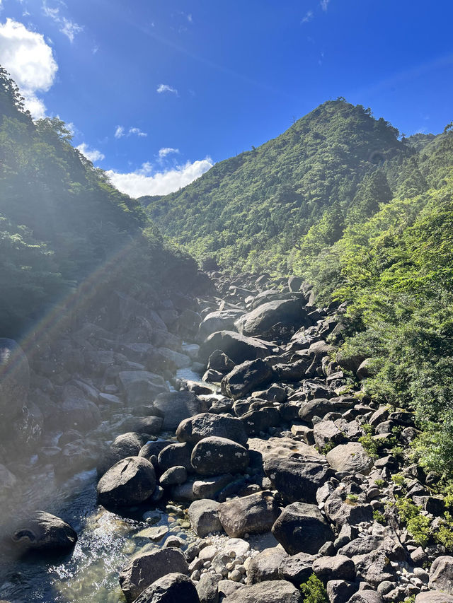 【屋久島】縄文杉🌲トレッキングツアー