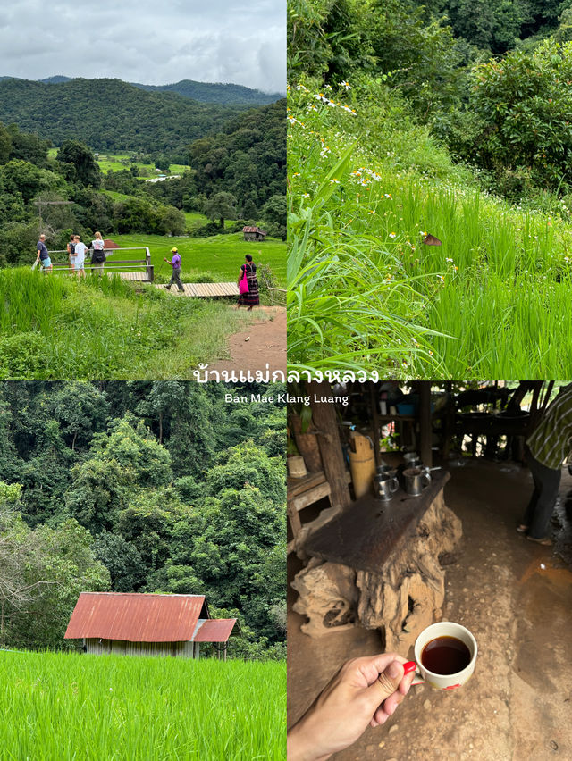 8 พิกัดเที่ยวดอยอินทนนท์ 2 วัน 1 คืน ⛰️🌿🌳🌤️🏕️