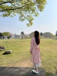 Blooming History: Cherry Blossoms at Daereungwon Tomb Complex