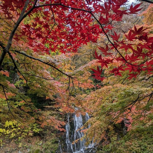 輕津之嵐山，移植自京都的紅葉名所：中野紅葉山