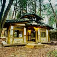 A Magical Autumn-cum-Winter Getaway to Nami Island!