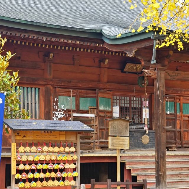 高山國分寺 金黃的千年銀杏