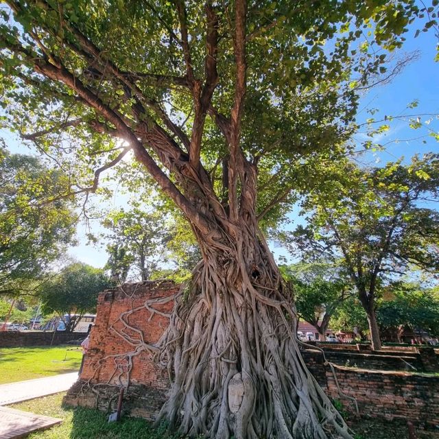 Wat Mahathat