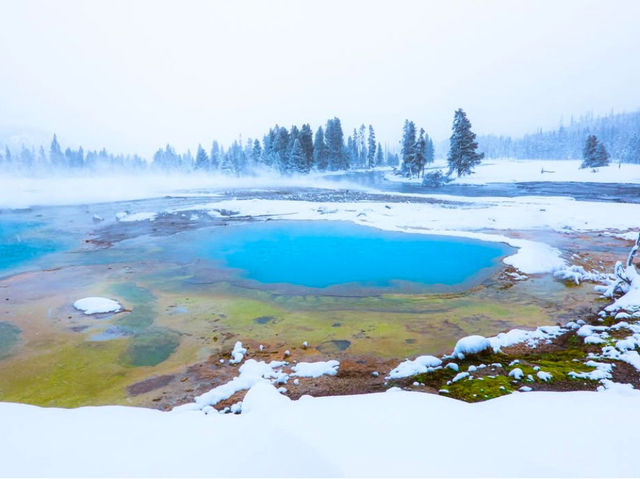 3 Reasons Why Yellowstone Should Be on Your Next Christmas Trip