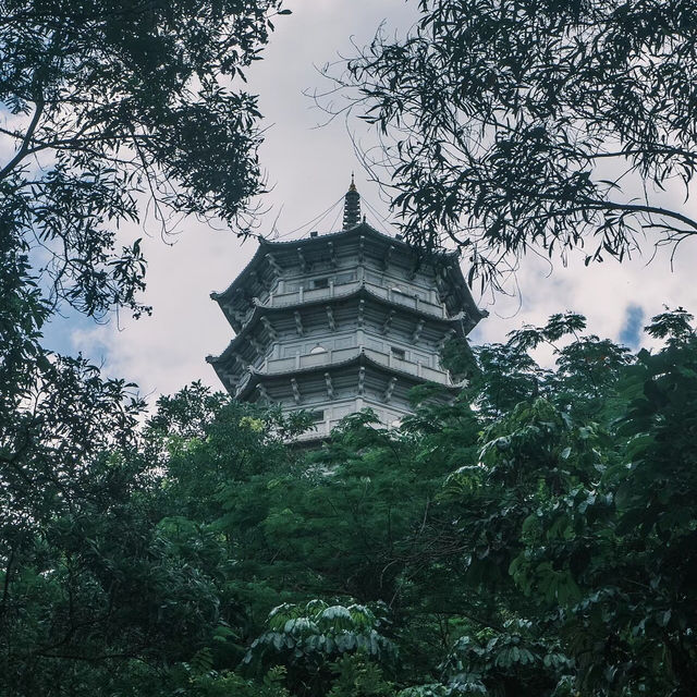 深圳園博園｜綠意盎然的城市綠洲，放鬆身心的理想場所